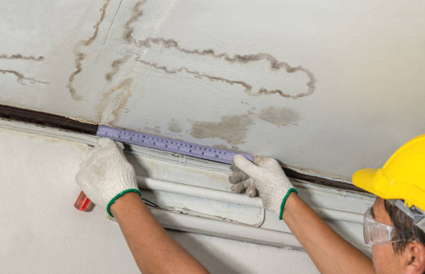 Reliable Water Removal contractor in McLean, TX by Water Damage Irwin